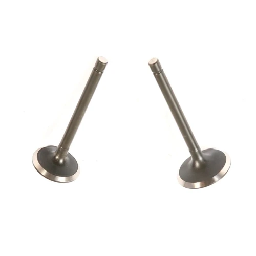 548.jpg